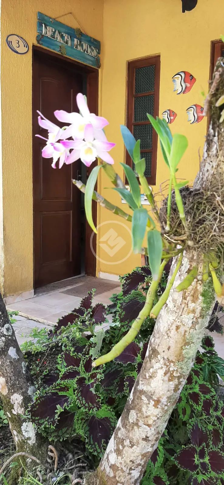 Imagem 4 - Casa Condomínio em Maitinga, Bertioga - SP