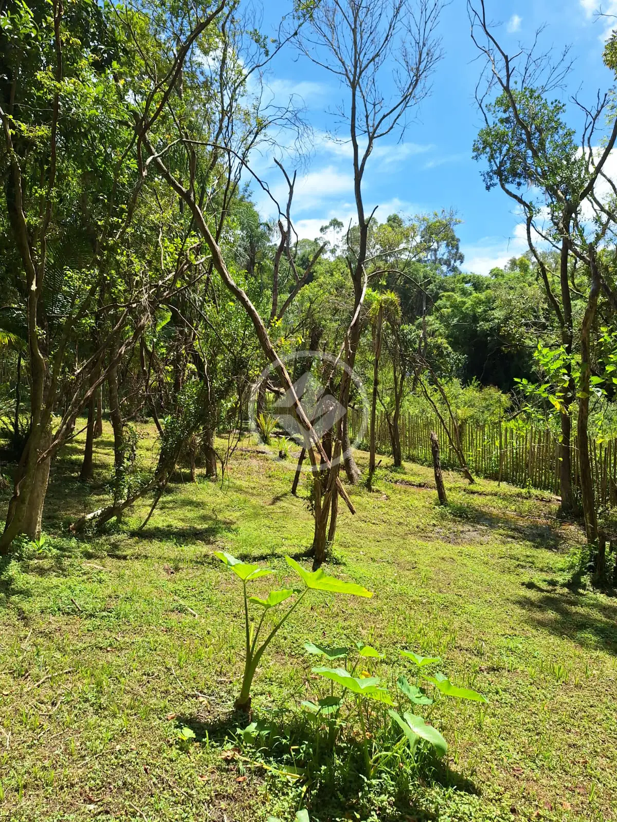 Terreno Caete (Mailasqui), São Roque - SP — foto 1