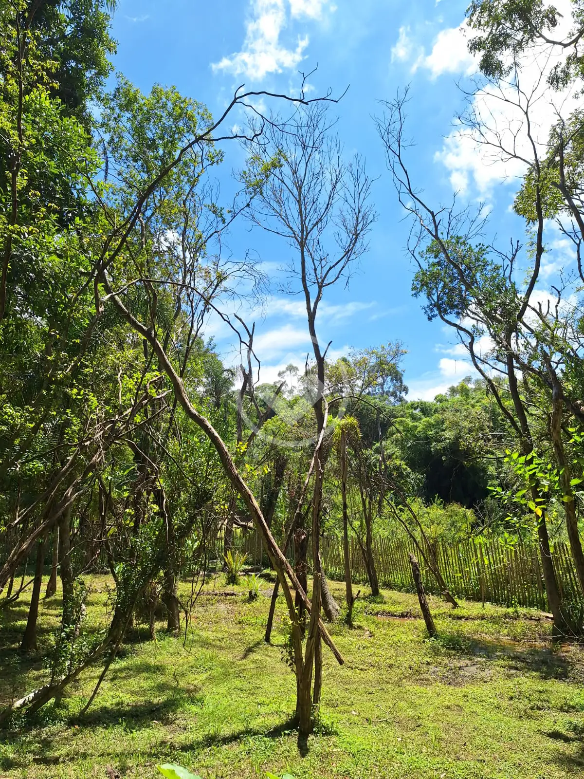 Imagem 5 - Terreno em Caete (Mailasqui), São Roque - SP