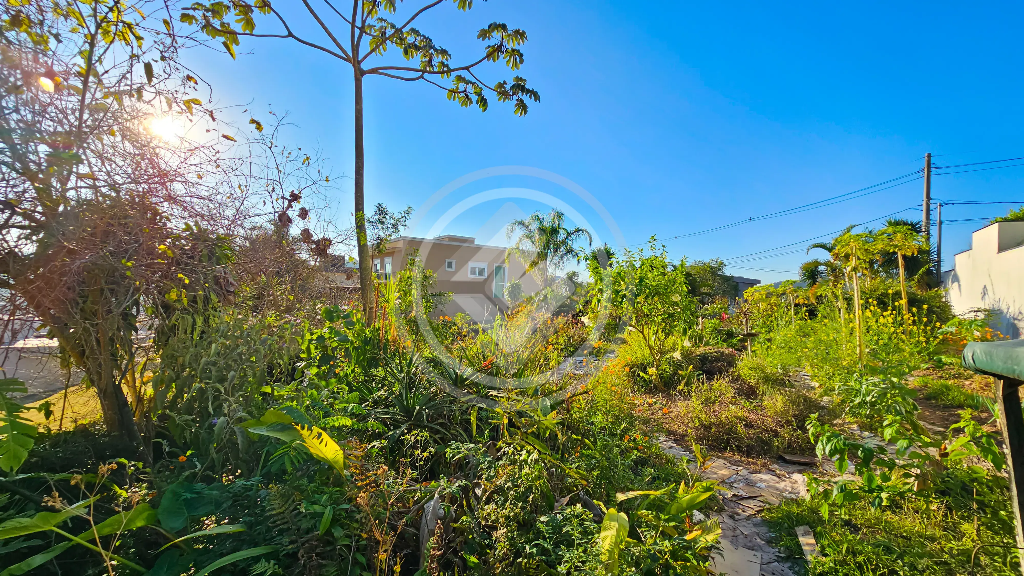 Imagem 6 - Terreno Condomínio em Alphaville, Santana de Parnaíba - SP