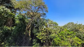 Imagem 4 - Casa Condomínio em Alphaville, Santana de Parnaíba - SP