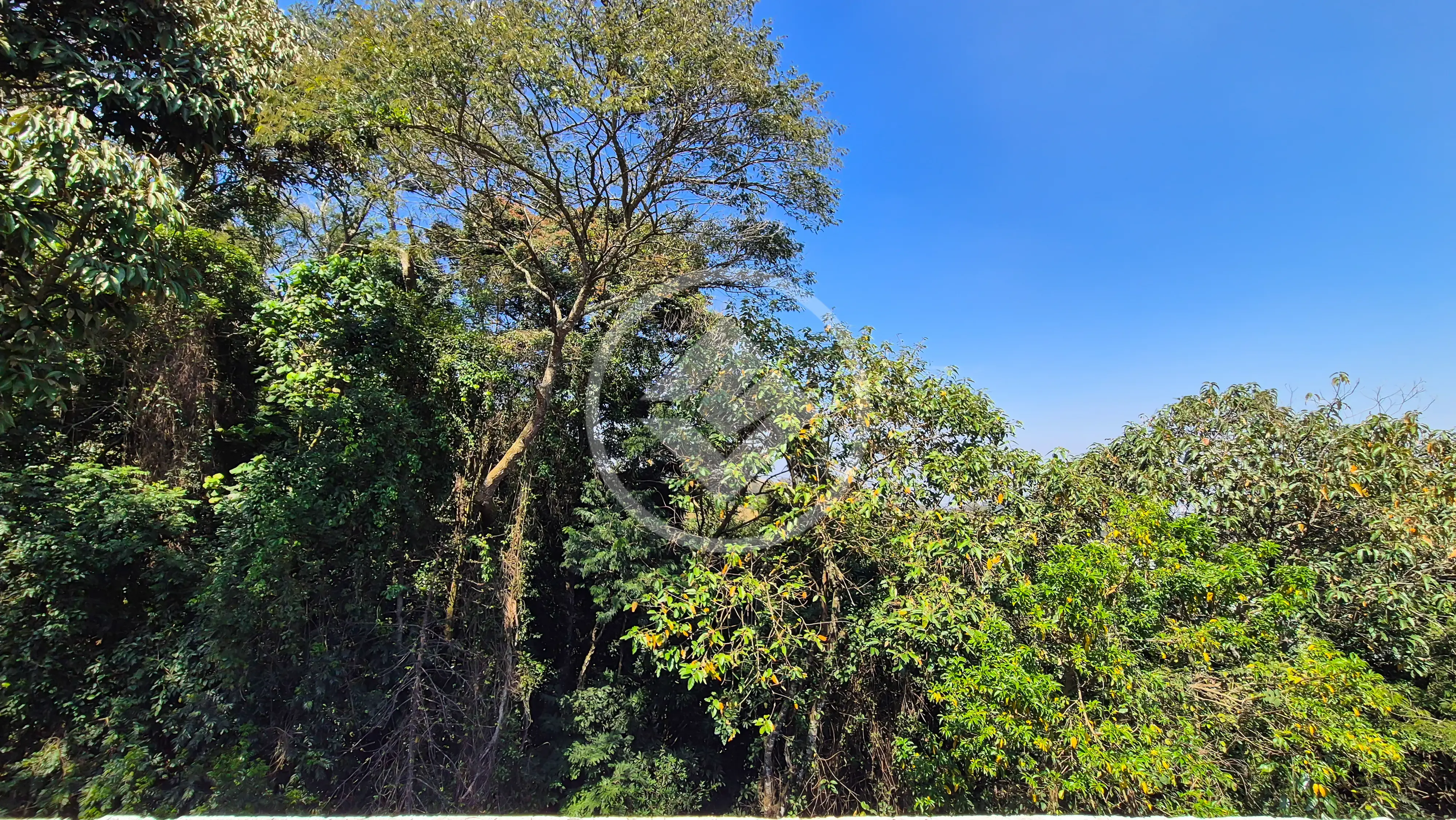Imagem 4 - Casa Condomínio em Alphaville, Santana de Parnaíba - SP