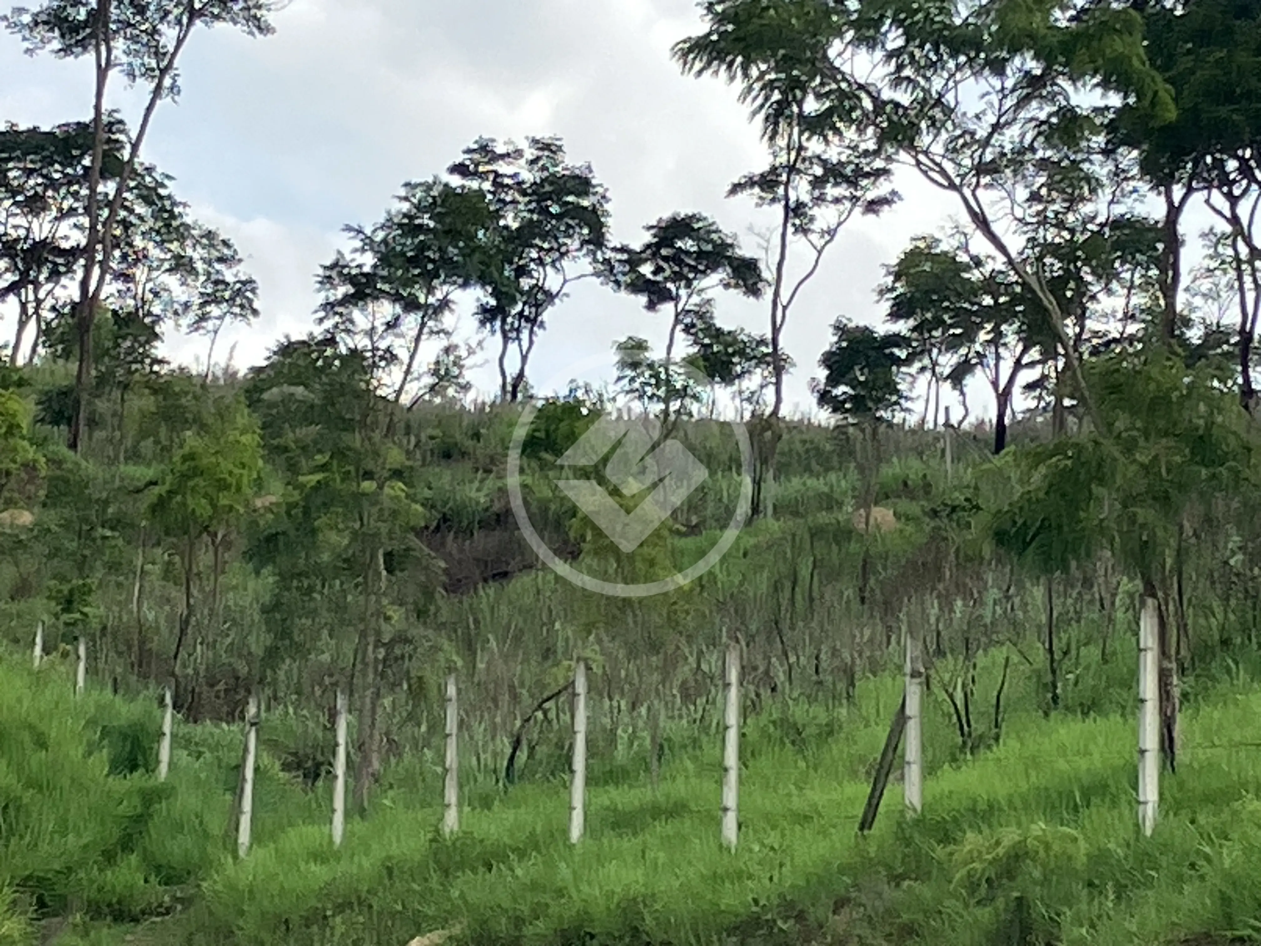 Imagem 4 - Terreno em Chácaras São Luís, Santana de Parnaíba - SP