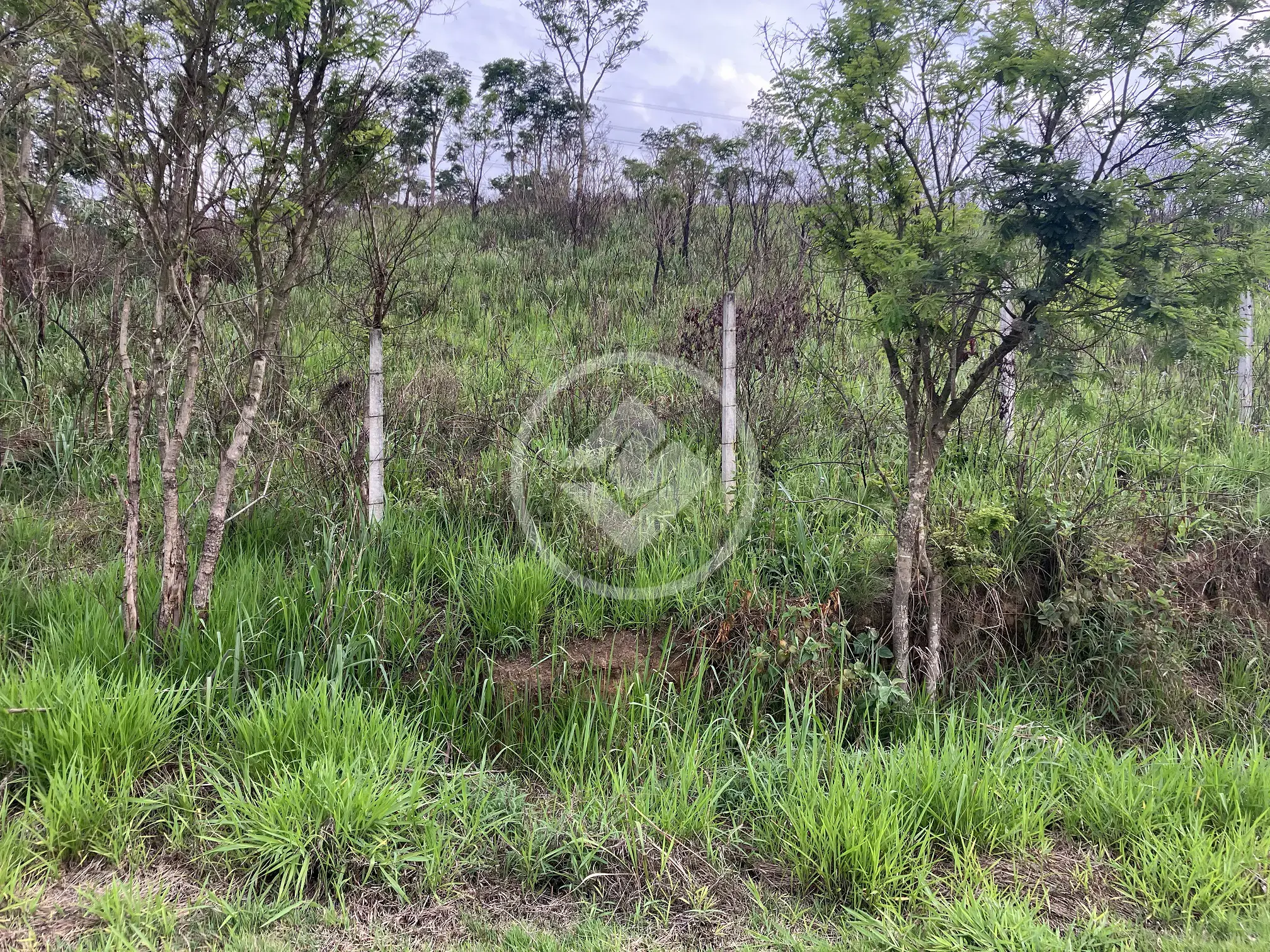 Imagem 3 - Terreno em Chácaras São Luís, Santana de Parnaíba - SP