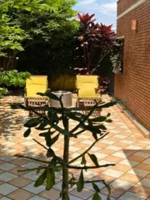 Imagem 3 - Casa Condomínio em Alphaville, Santana de Parnaíba - SP