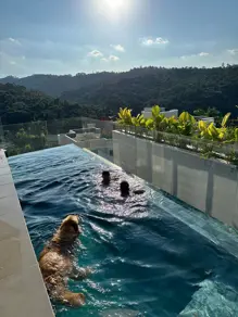 Imagem 6 - Casa Condomínio em Alphaville, Santana de Parnaíba - SP