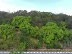 Imagem 6 - Casa Condomínio em Residencial Nove (Alphaville), Santana de Parnaíba - SP