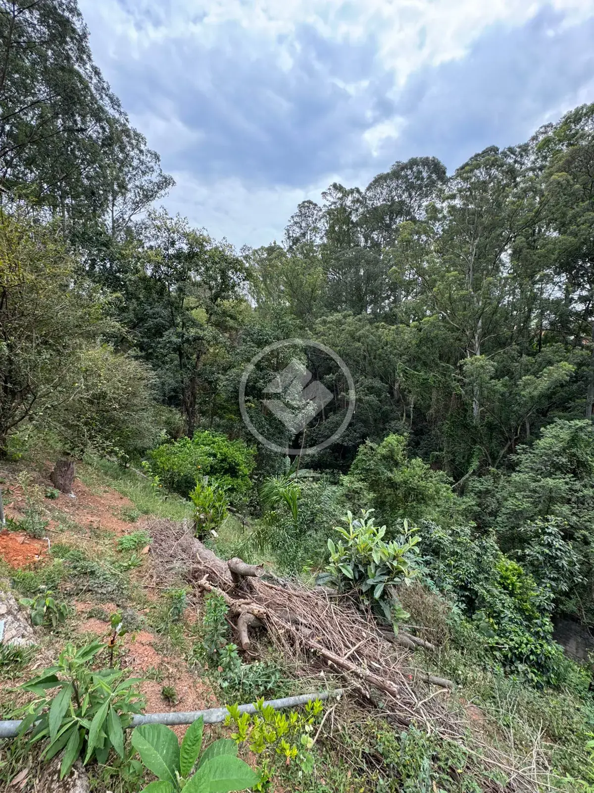 Imagem 3 - Terreno Condomínio em Alphaville, Barueri - SP