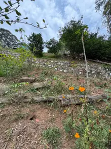 Imagem 5 - Terreno Condomínio em Residencial Tamboré, Barueri - SP