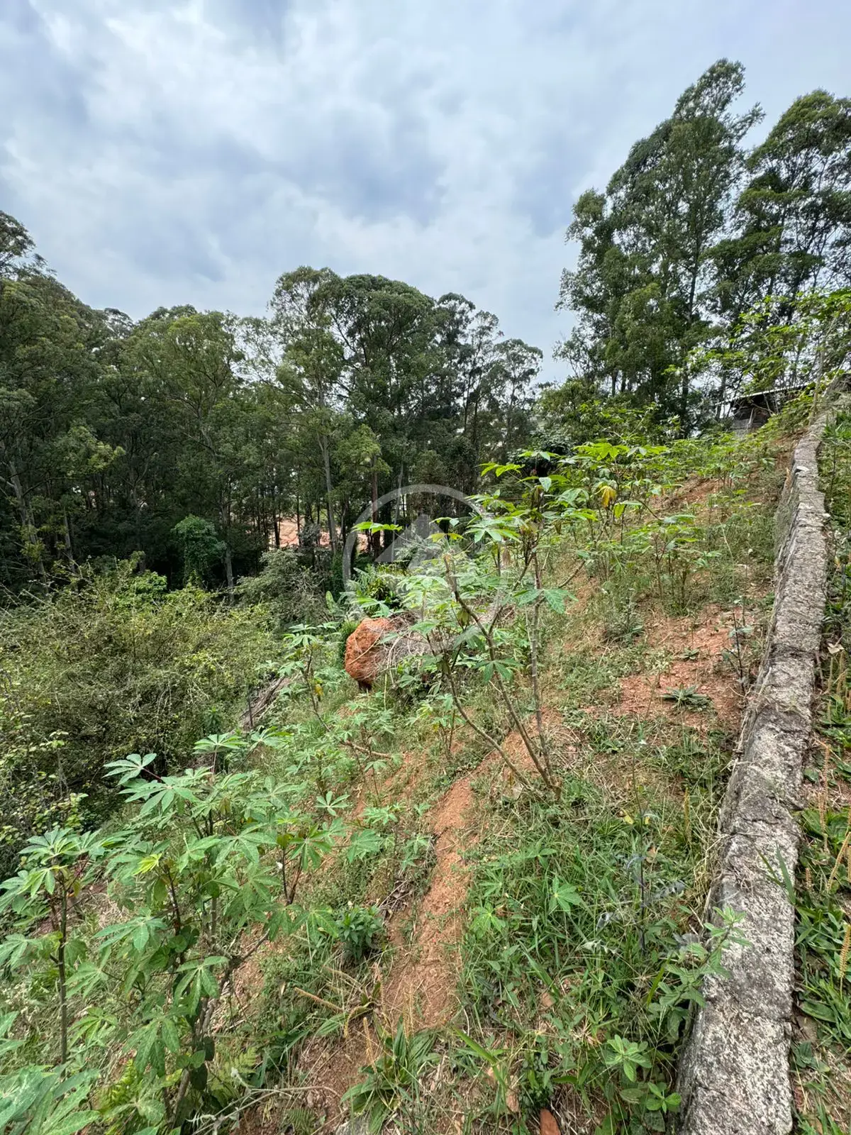 Imagem 4 - Terreno Condomínio em Alphaville, Barueri - SP