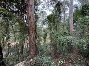 Terreno Condomínio Residencial Tamboré, Barueri - SP — foto 1