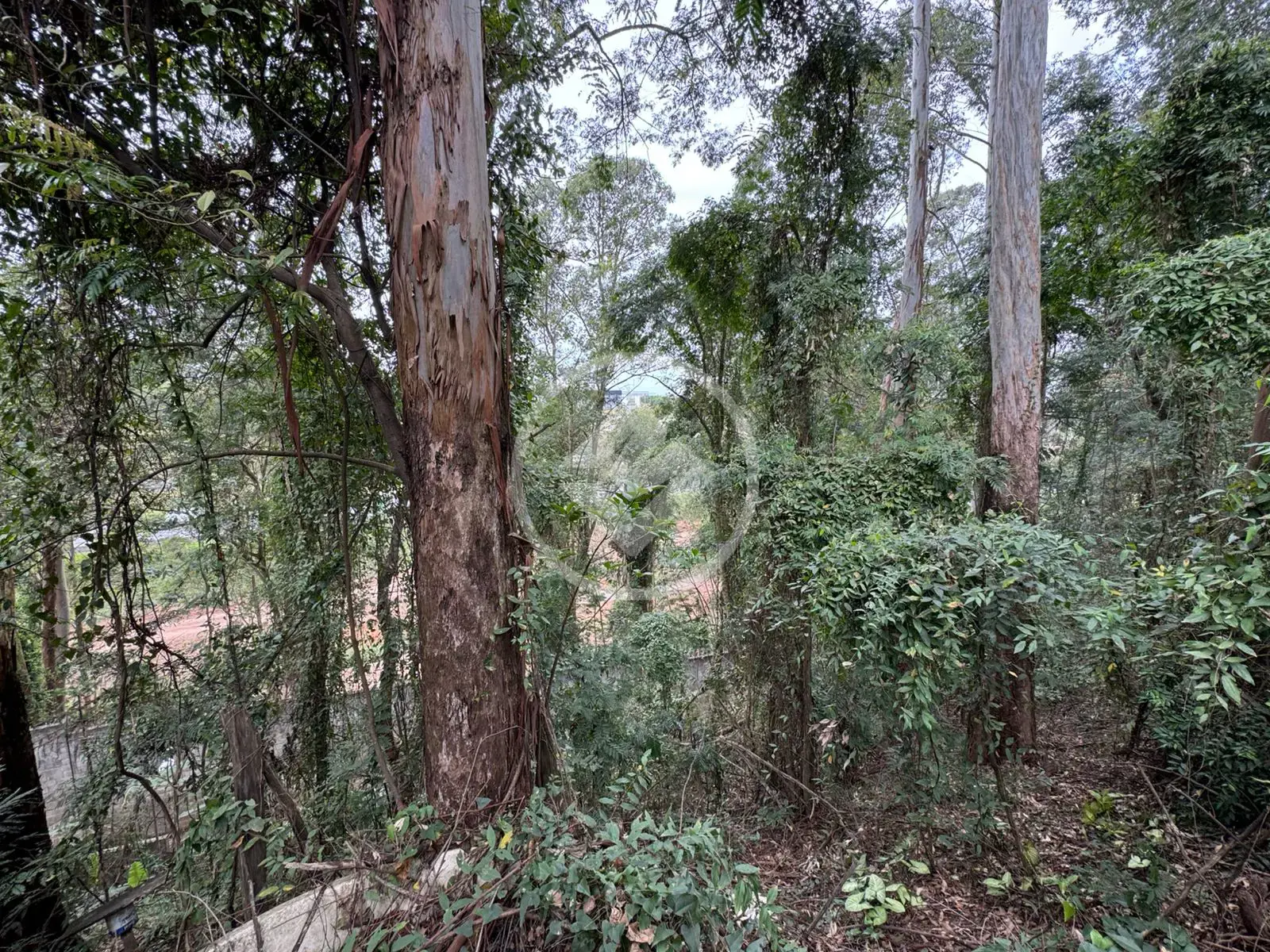 Imagem 1 - Terreno Condomínio em Alphaville, Barueri - SP