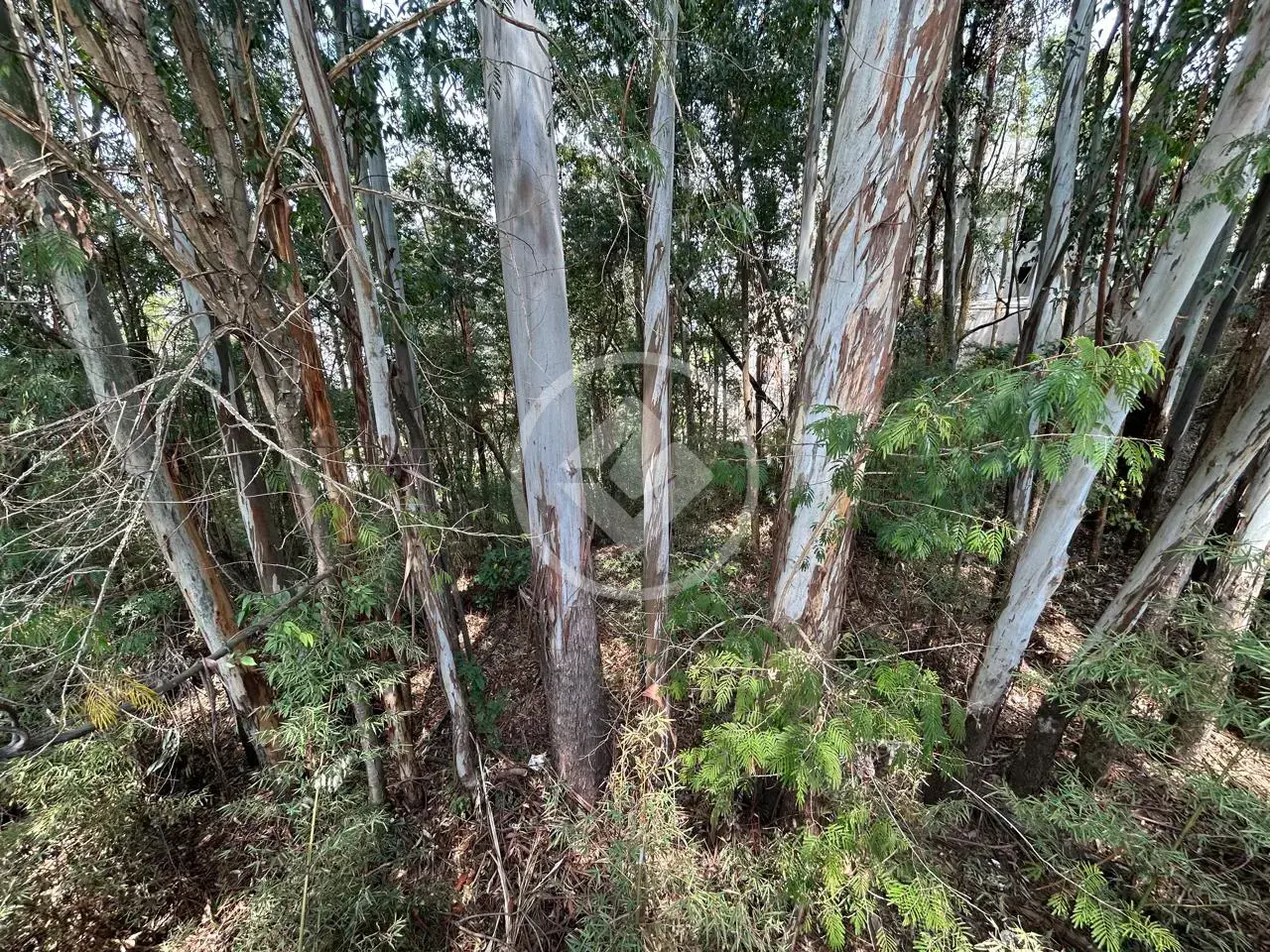 Imagem 3 - Terreno Condomínio em Alphaville, Barueri - SP