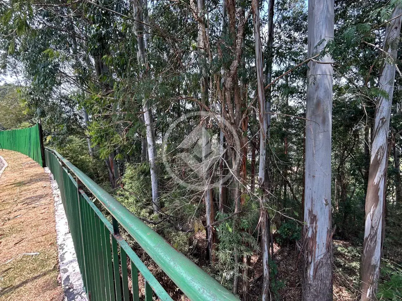 Imagem 4 - Terreno Condomínio em Alphaville, Barueri - SP