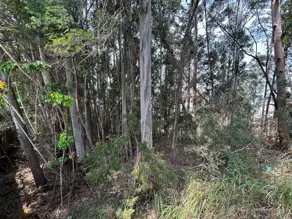 Imagem 6 - Terreno Condomínio em Residencial Tamboré, Barueri - SP
