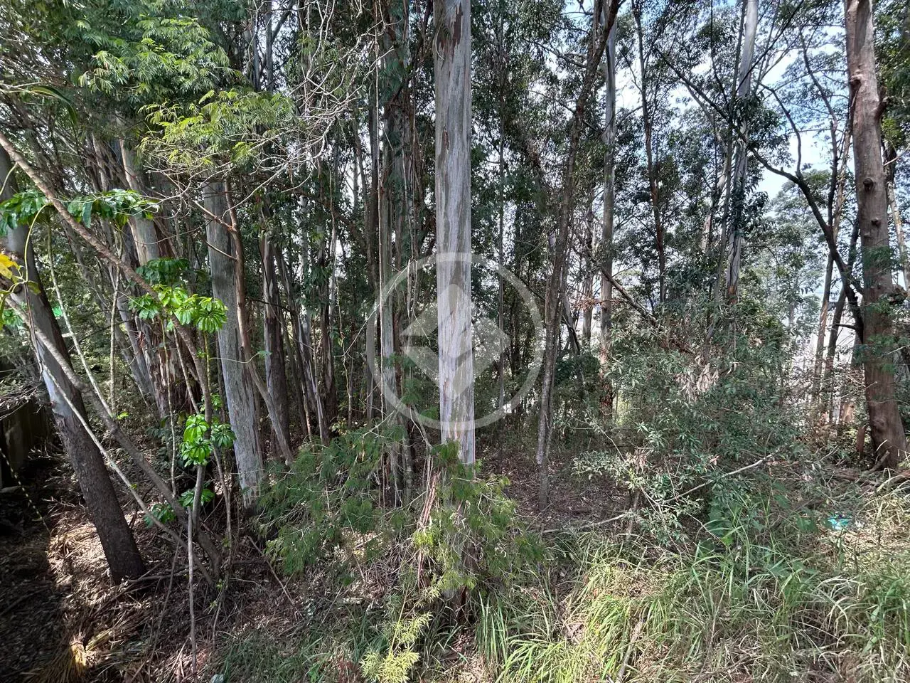 Imagem 6 - Terreno Condomínio em Alphaville, Barueri - SP