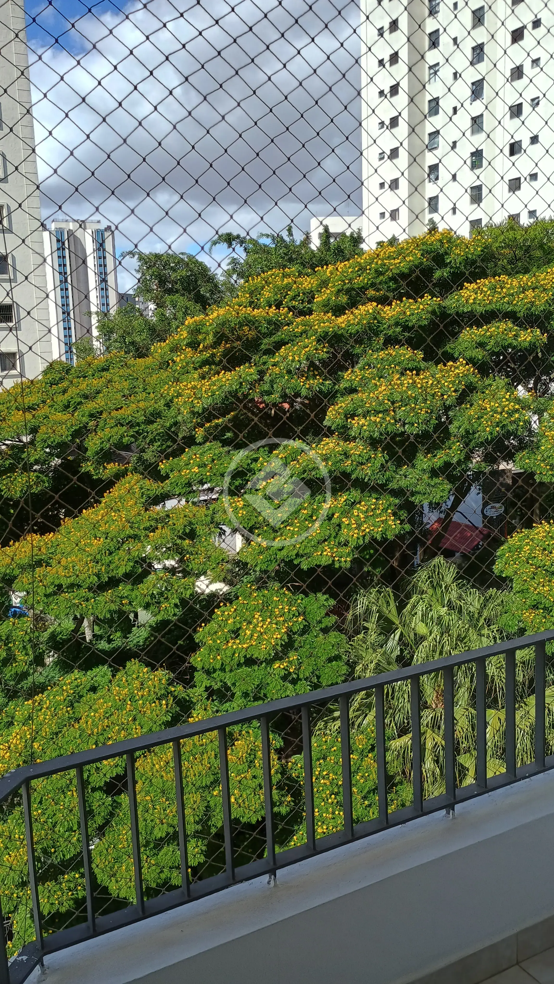 Imagem 4 - Apartamento em Nova Piraju, São Paulo - SP