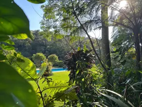 Imagem 2 - Sítio em Bairro Jardim Nossa Senhora das Graças, Cotia - SP