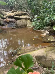 Sítio Bairro Jardim Nossa Senhora das Graças, Cotia - SP — foto 2