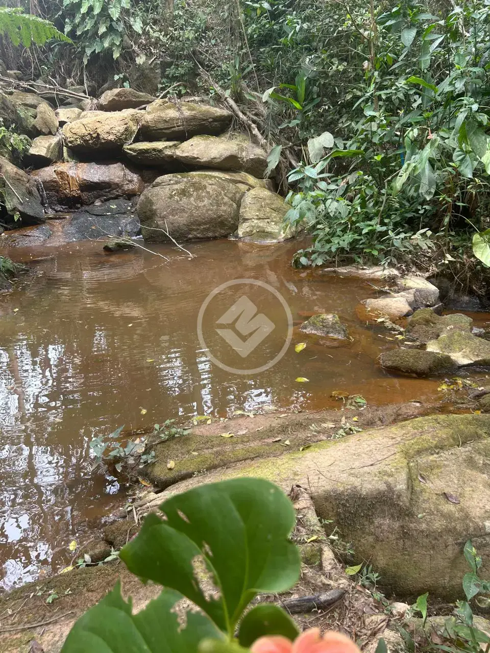 Imagem 1 - Sítio em Bairro Jardim Nossa Senhora das Graças, Cotia - SP