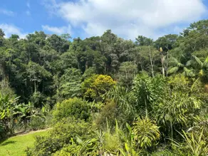 Imagem 6 - Sítio em Bairro Jardim Nossa Senhora das Graças, Cotia - SP