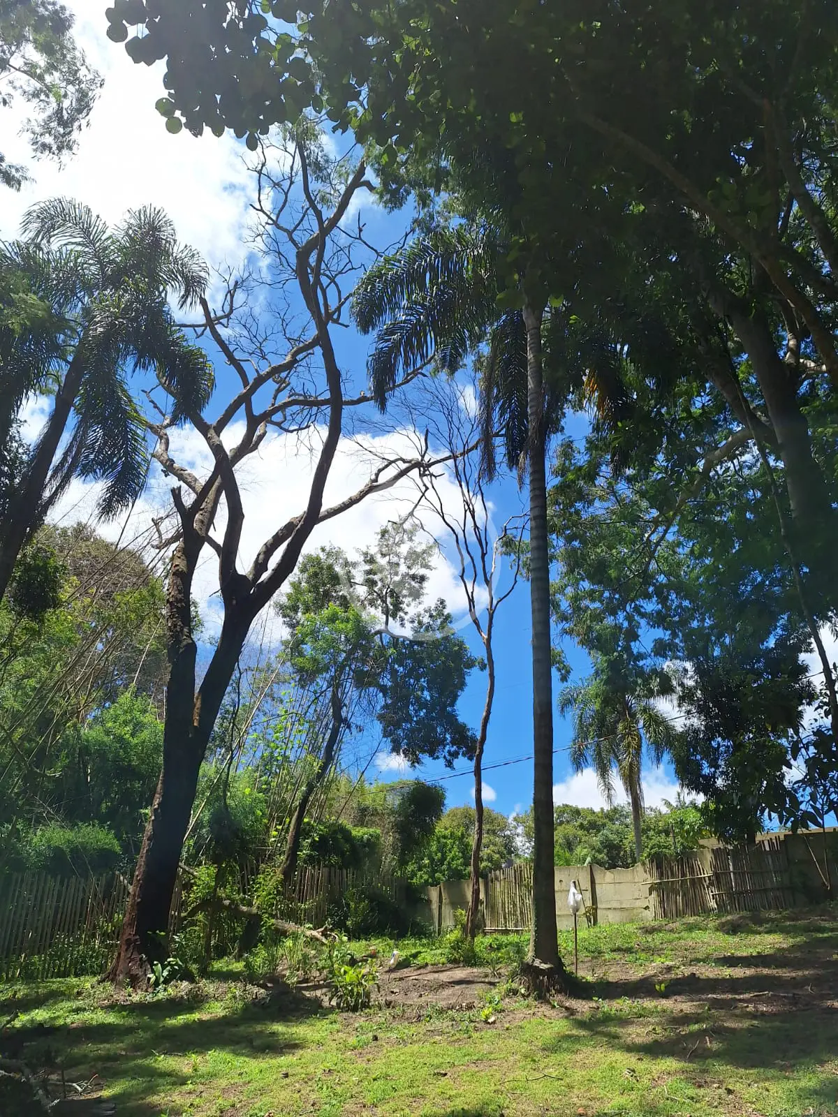 Terreno Caete (Mailasqui), São Roque - SP — foto 2