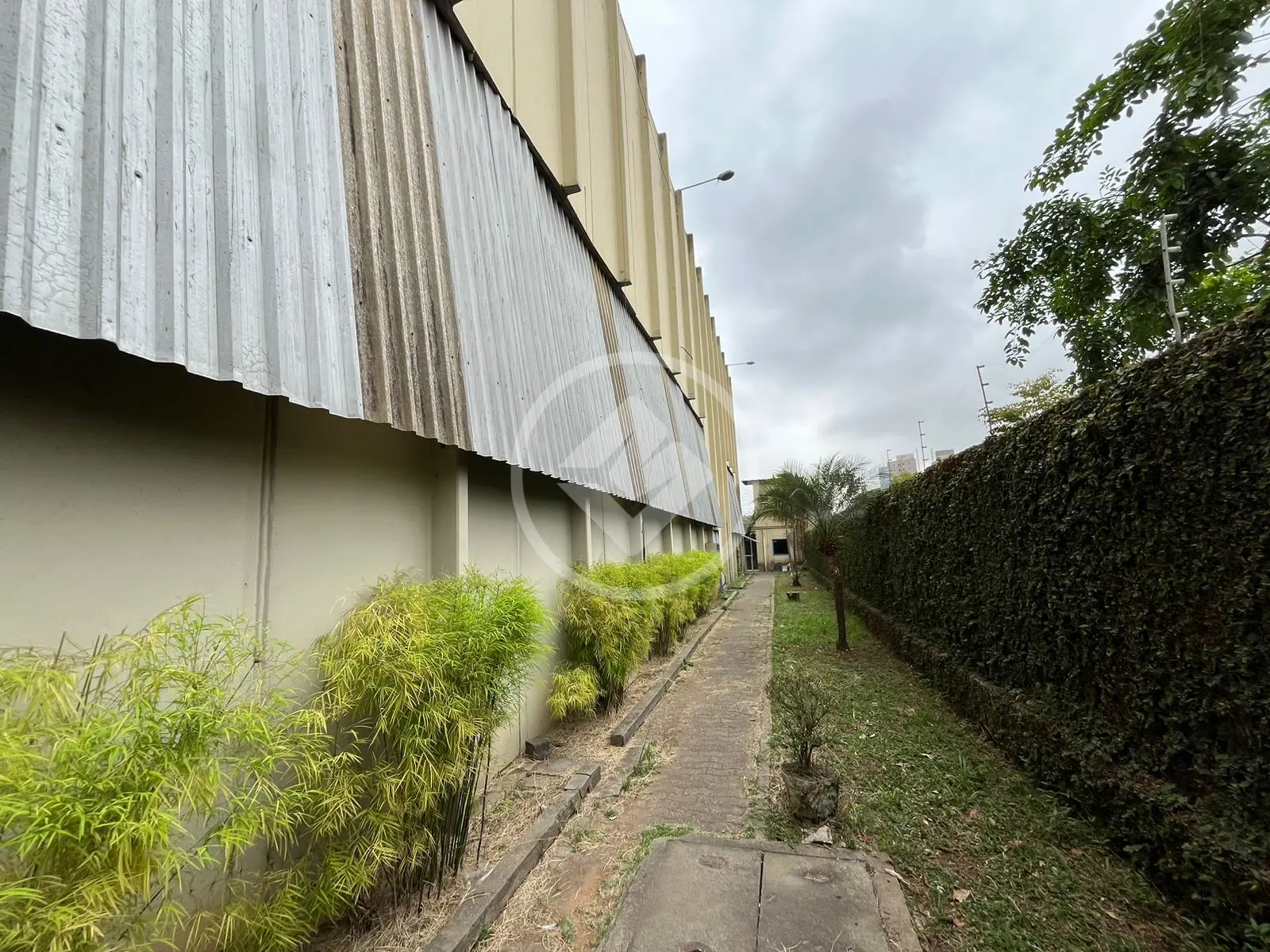Imagem 5 - Galpão em Jardim Guanca, São Paulo - SP
