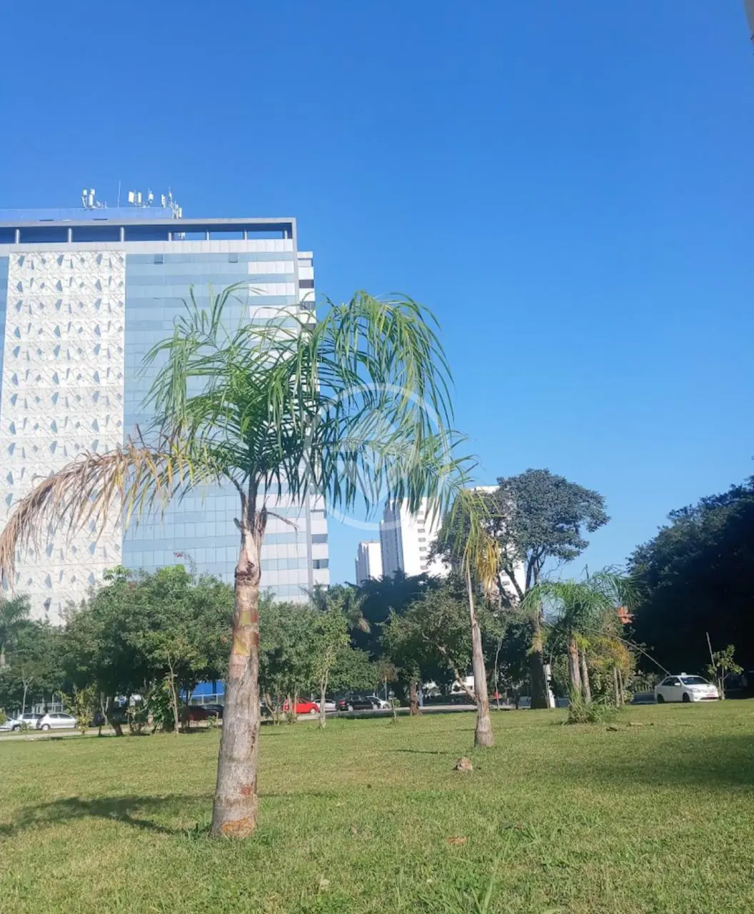 Imagem 2 - Sala Comercial em Jardim Caravelas, São Paulo - SP