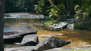 Fazenda Praia do Forte, Mata de São João - BA — foto 2