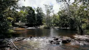Imagem 2 - Fazenda em Praia do Forte, Mata de São João - BA