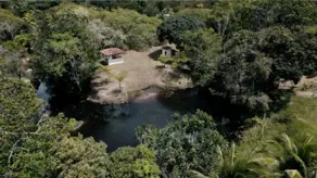 Imagem 3 - Fazenda em Praia do Forte, Mata de São João - BA