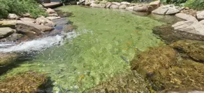Imagem 2 - Apartamento em Horto Florestal, Salvador - BA