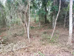 Imagem 2 - Terreno Condomínio em Centro, Simões Filho - BA