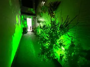 Imagem 4 - Casa Condomínio em BURAQUINHO, Lauro de Freitas - BA