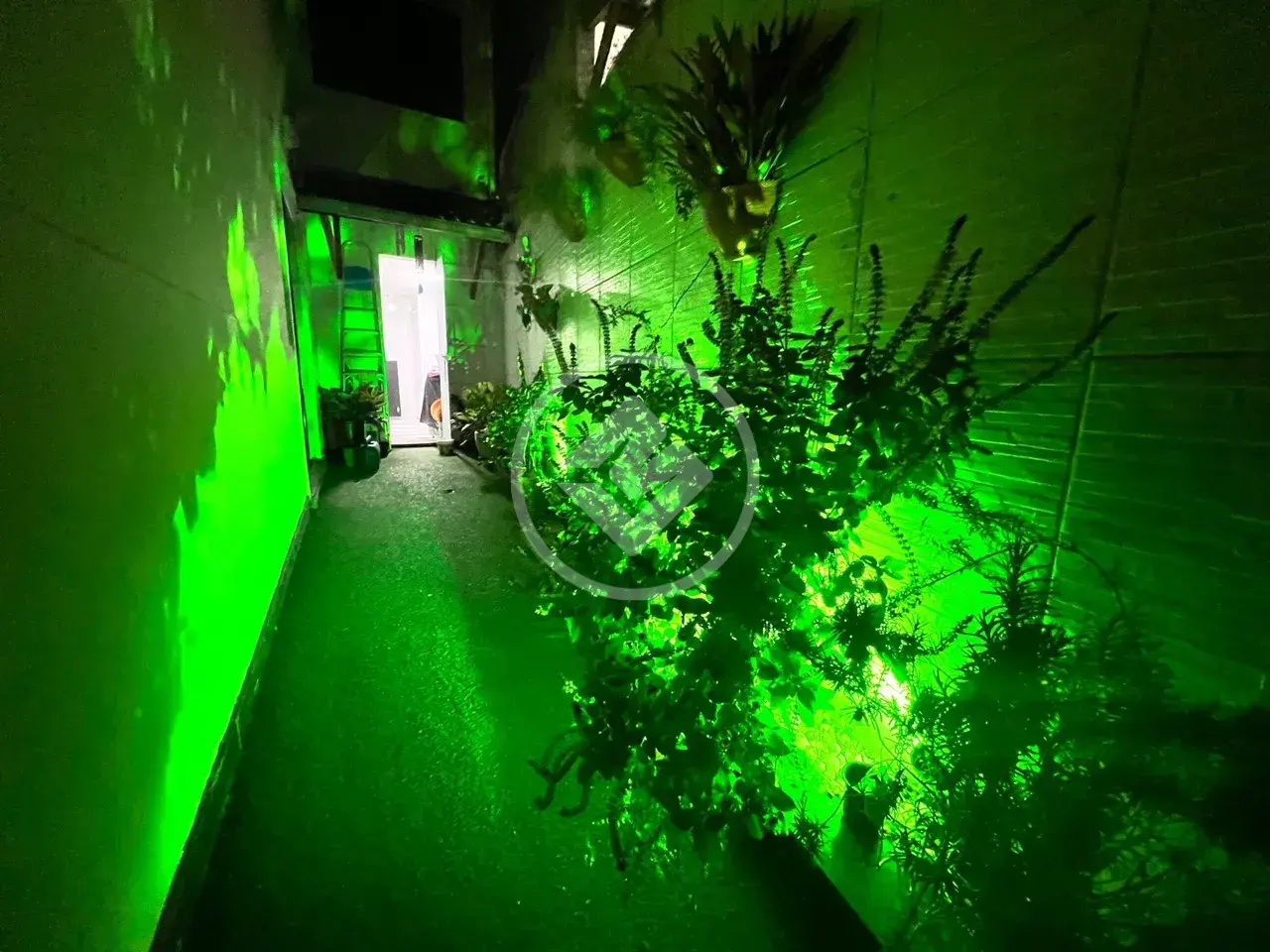 Imagem 4 - Casa Condomínio em BURAQUINHO, Lauro de Freitas - BA