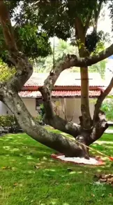 Imagem 5 - Casa Condomínio em Centro, Camaçari - BA