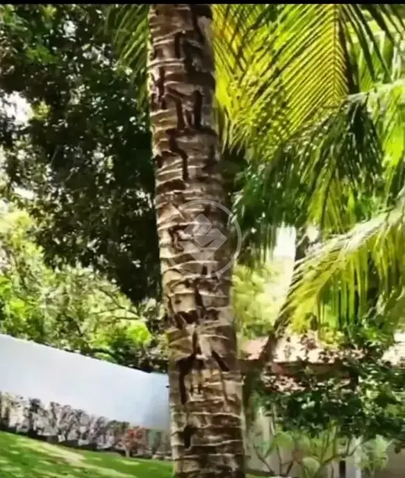 Image 7 - Casa Condomínio em Centro, Camaçari - BA