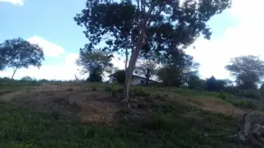 Fazenda Centro, Iramaia - BA — foto 2