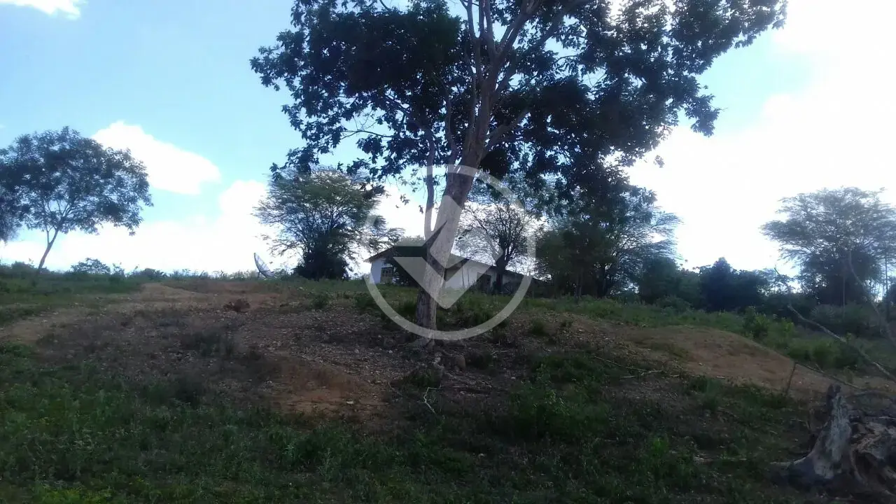 Image 2 - Fazenda em Centro, Iramaia - BA