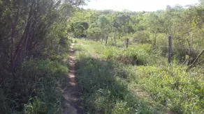 Imagem 6 - Fazenda em Centro, Iramaia - BA