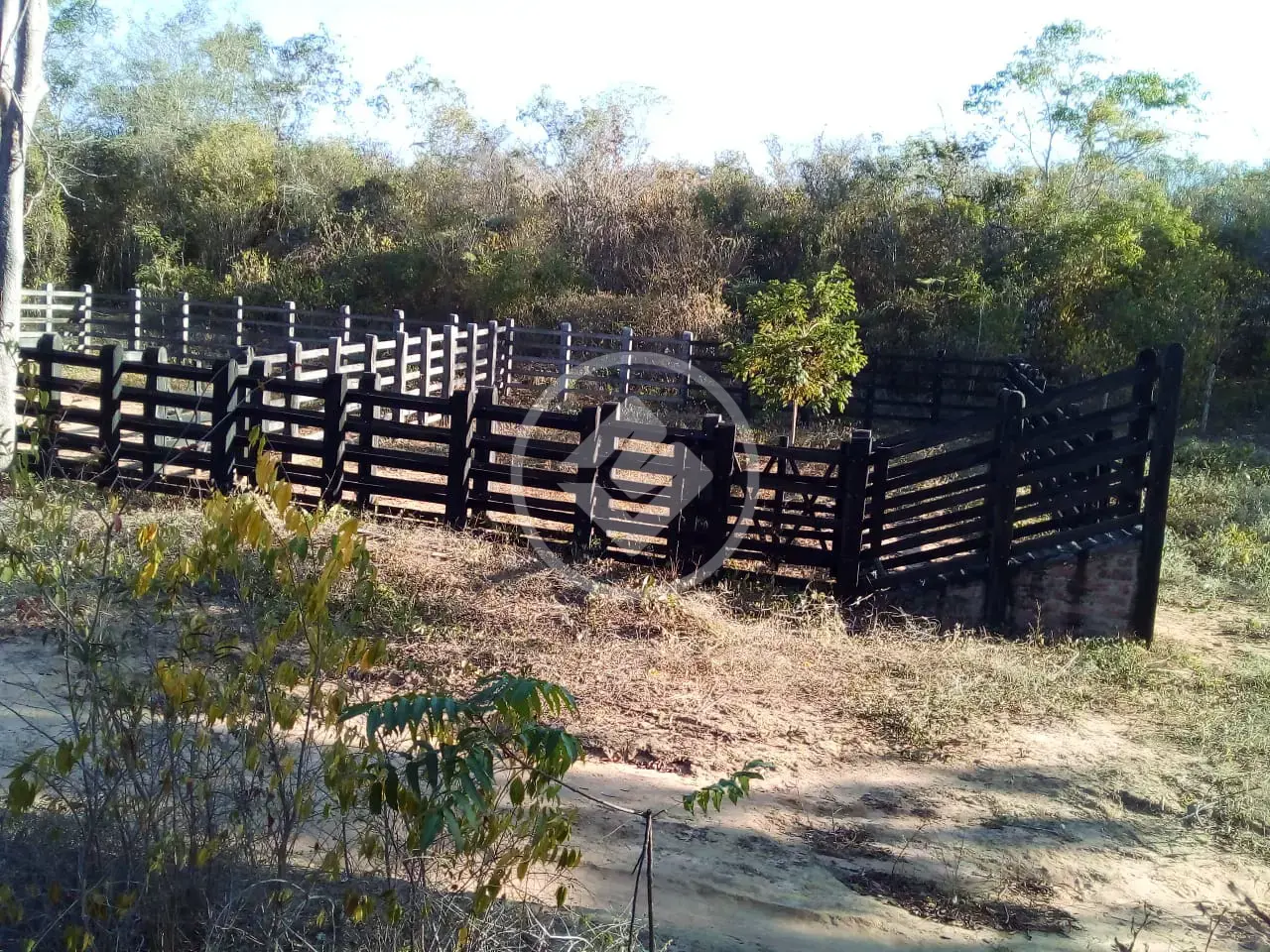 Imagem 1 - Fazenda em Centro, Iramaia - BA