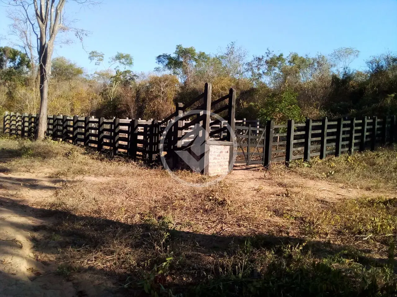 Image 18 - Fazenda em Centro, Iramaia - BA