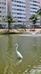 Imagem 5 - Apartamento em Centro, Lauro de Freitas - BA