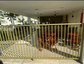 Imagem 6 - Apartamento em Nova Abrantes (Abrantes), Camaçari - BA