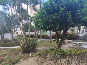Imagem 3 - Apartamento em Pituba, Salvador - BA