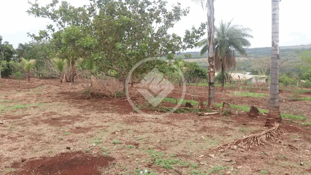 Imagem 2 - Chácara em Zona Rural, Uberlândia - MG