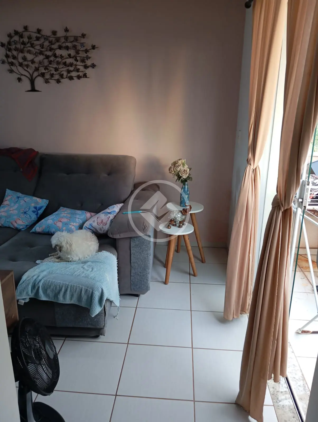 Imagem 2 - Apartamento em SANTA MÔNICA, Uberlândia - MG