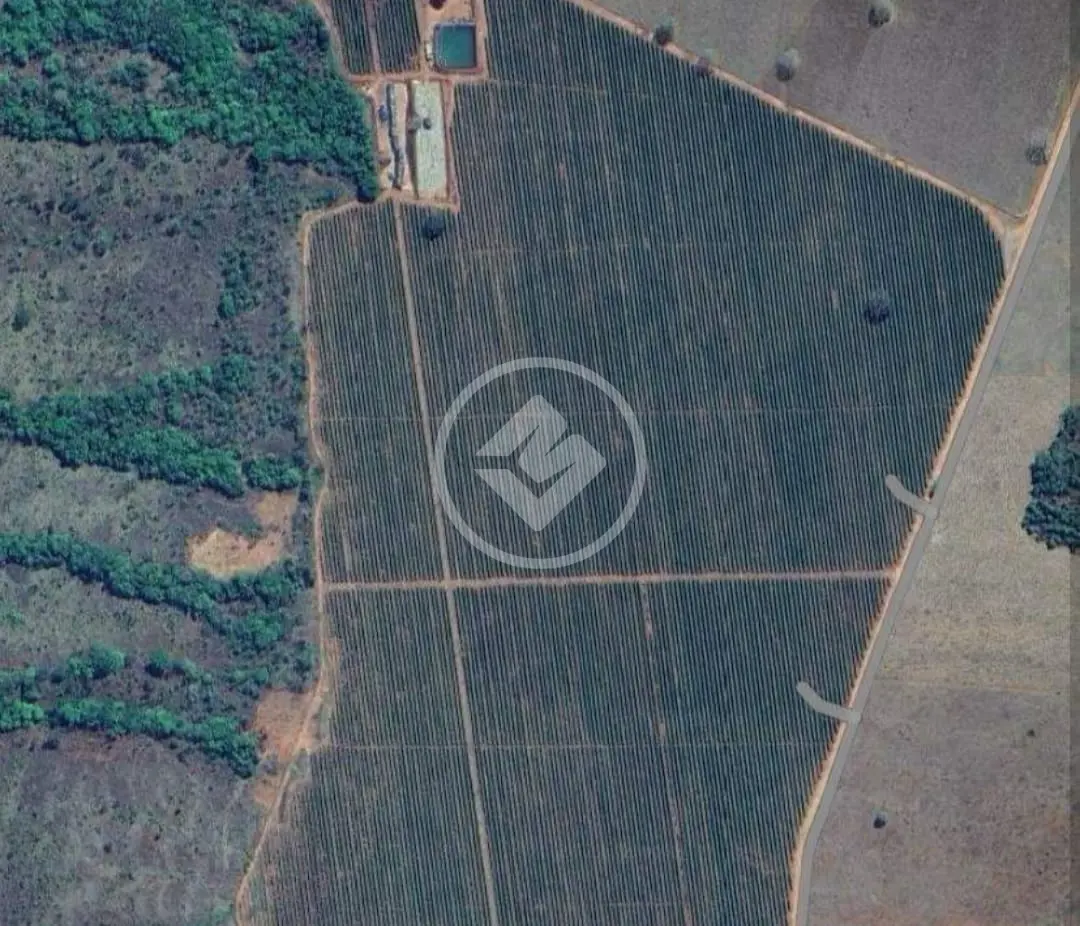 Fazenda Área Rural de Uberlândia, Uberlândia - MG — foto 2