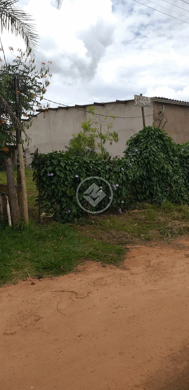 Imagem 3 - Chácara em Distrito Industrial, Uberlândia - MG