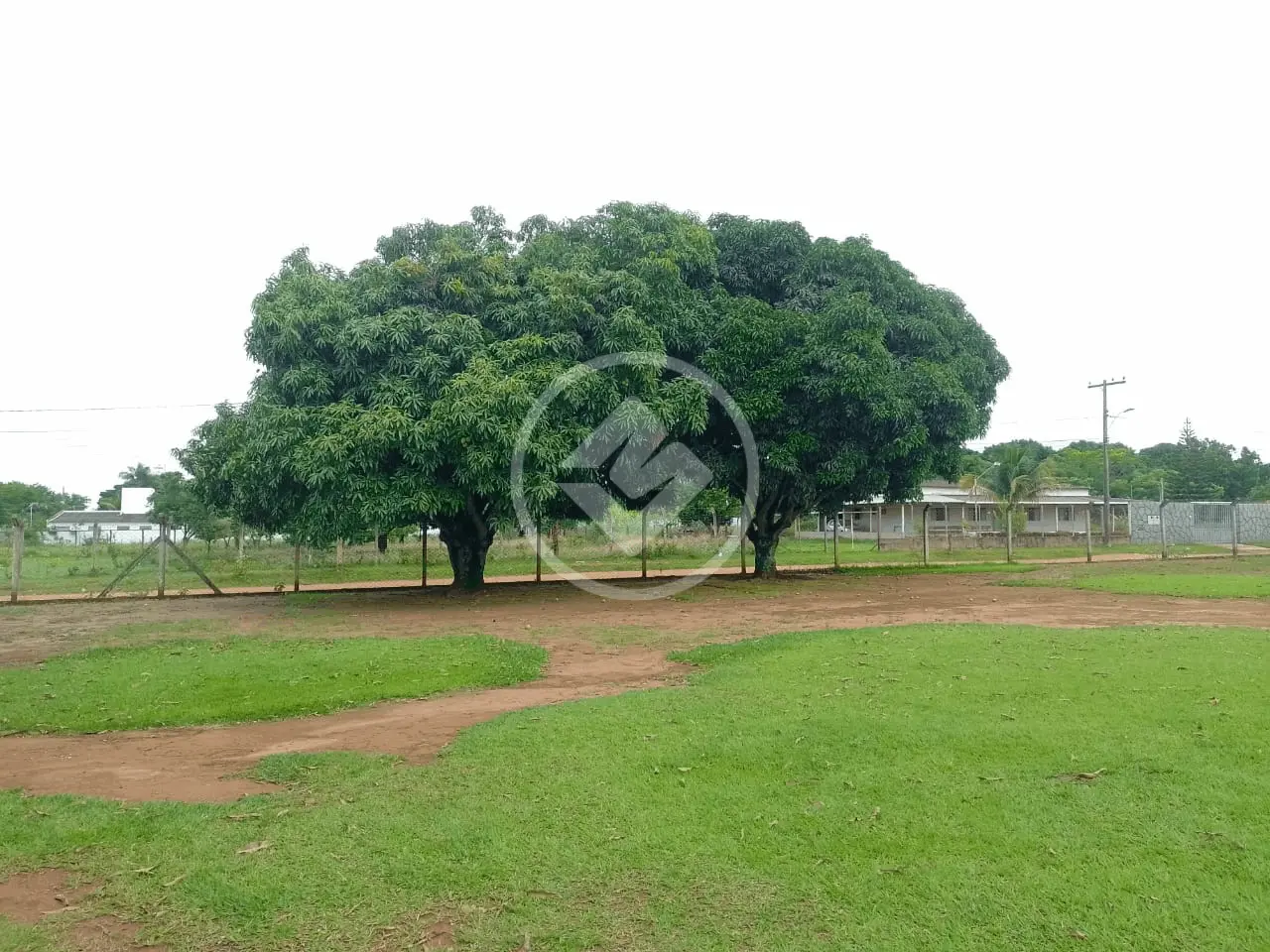 Imagem 5 - Chácara em Panorama, Uberlândia - MG